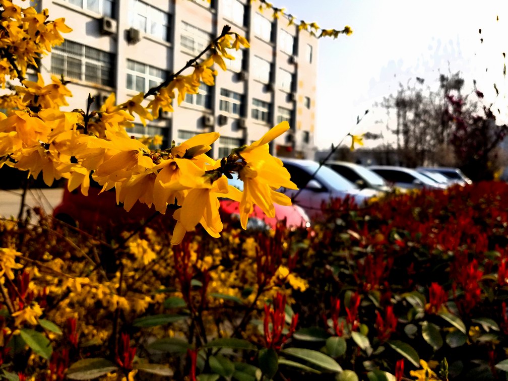 �{����С 20170323_084520.jpg